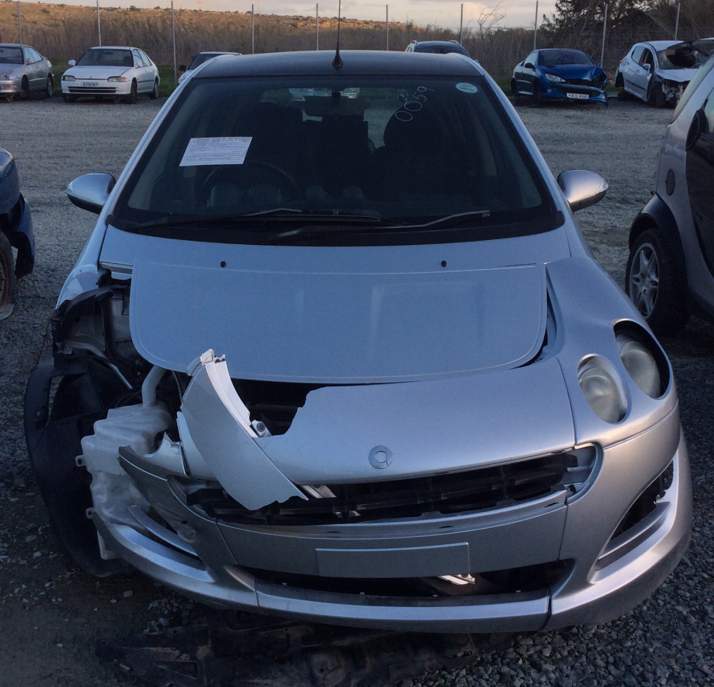 Smart Forfour 13